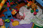 Highlight for Album: Baby Resseguie - Madison Elizabeth